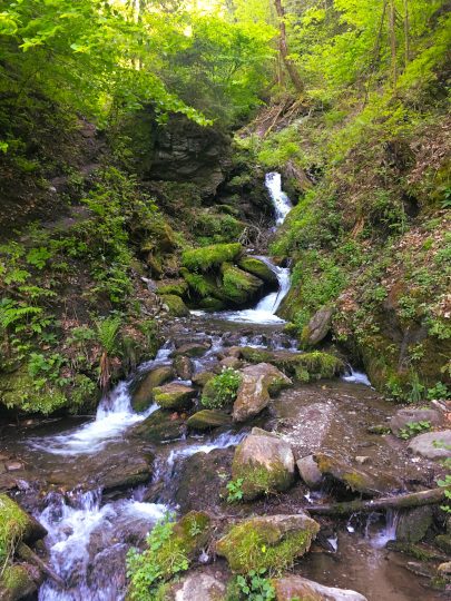 The Sill Gorge: Innsbruck’s Hidden Paradise - #myinnsbruck