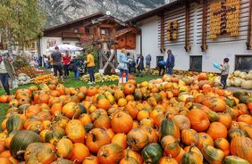 Haiminger Markttage: l’affascinante mercato del raccolto del Tirolo