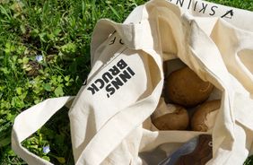 Tyrolean organic mushrooms: Schwammerln at its best