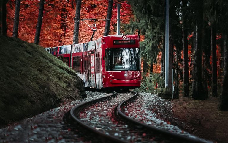 Gemütlich ins Grüne: Waldbahn - Tram Linie 6
