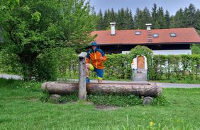 Un paradis pour les coureurs : Top-Trails dans la région d’Innsbruck