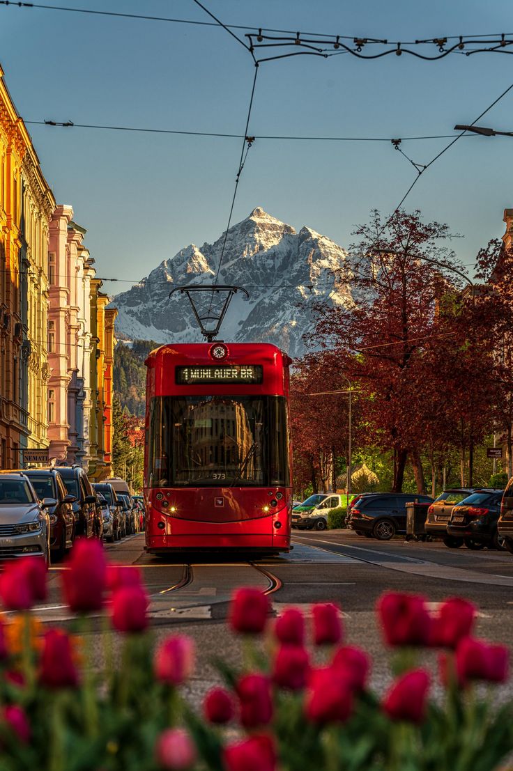 Straßenbahn in Innsbruck